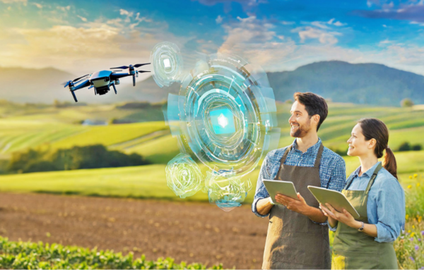 Collective human and artificial intelligence