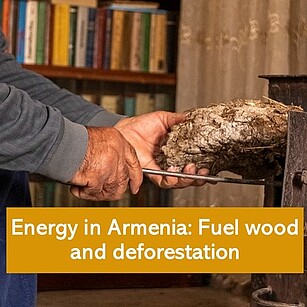 Podcast 2: Energy in Armenia: Fuel wood and deforestation